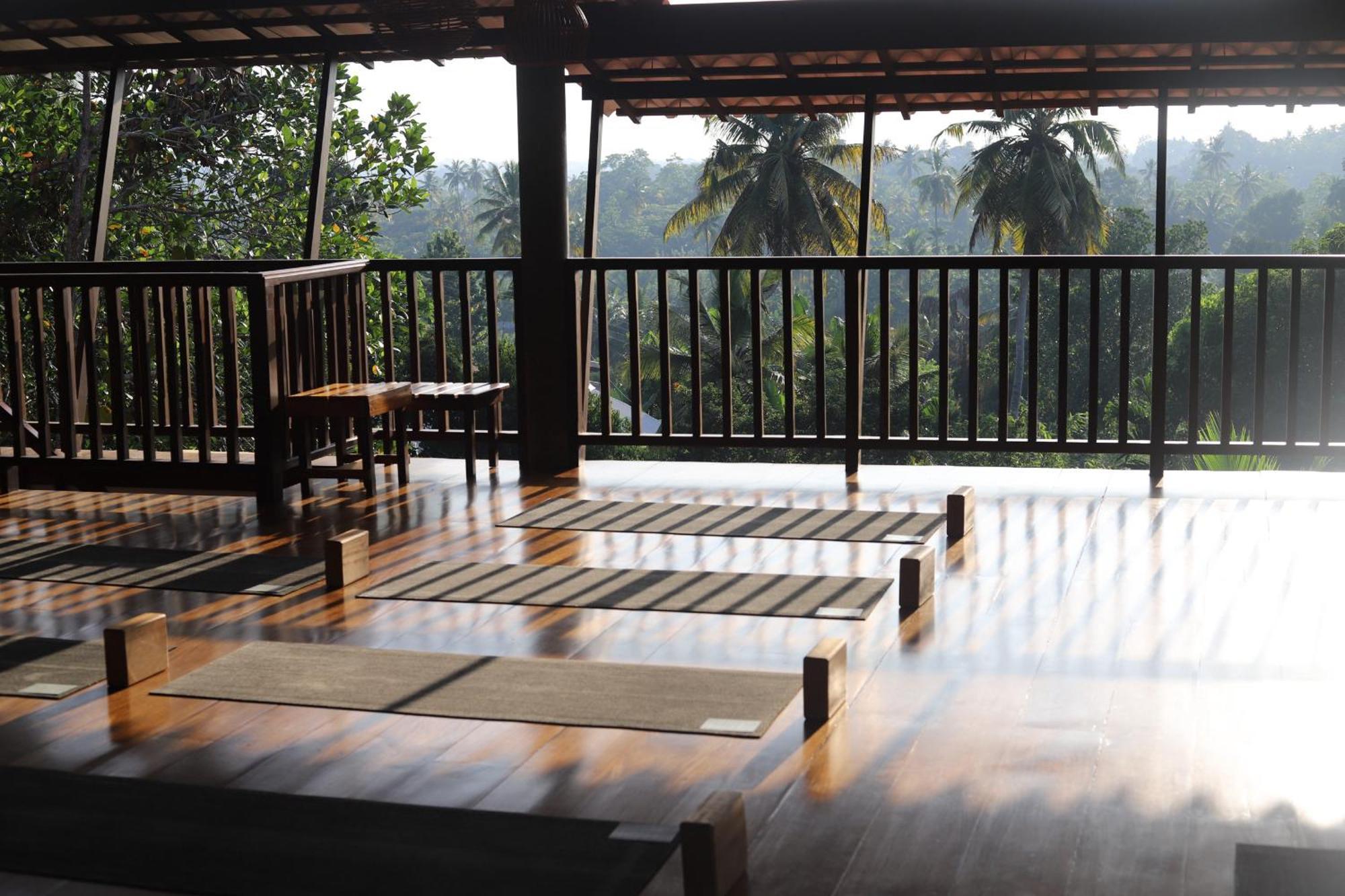 Hotel The Jungle View Mirissa Exterior foto
